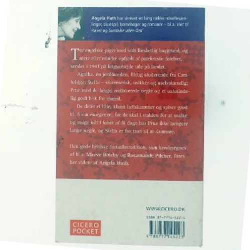 Pigerne fra byen af Angela Huth (Bog)