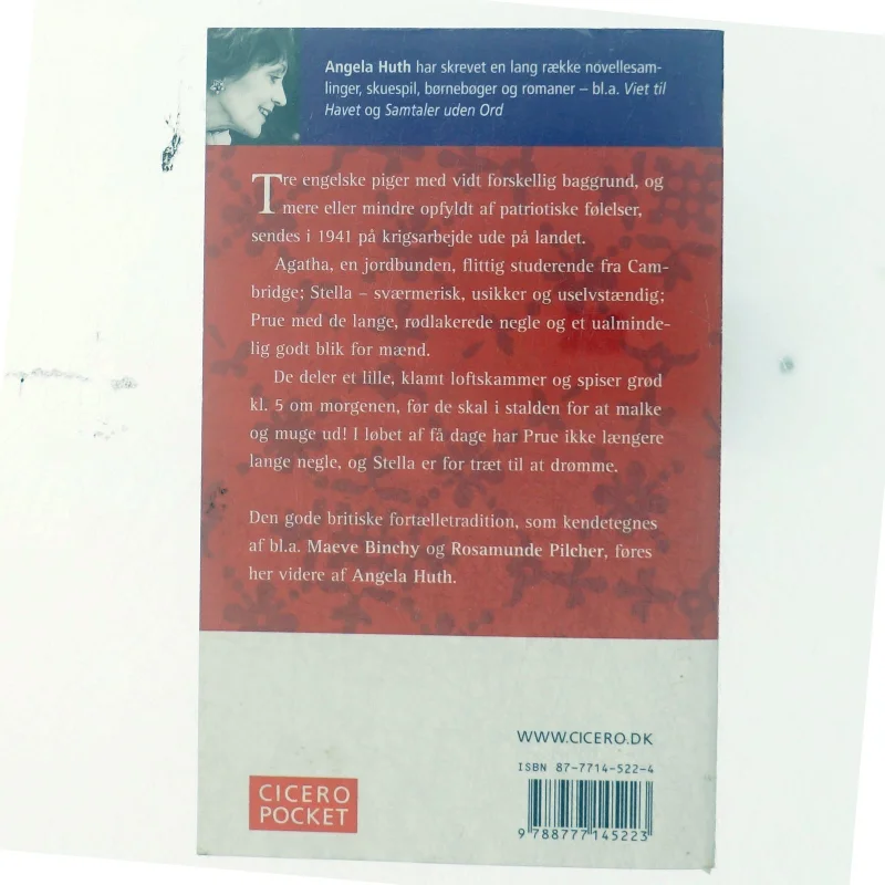 Pigerne fra byen af Angela Huth (Bog)