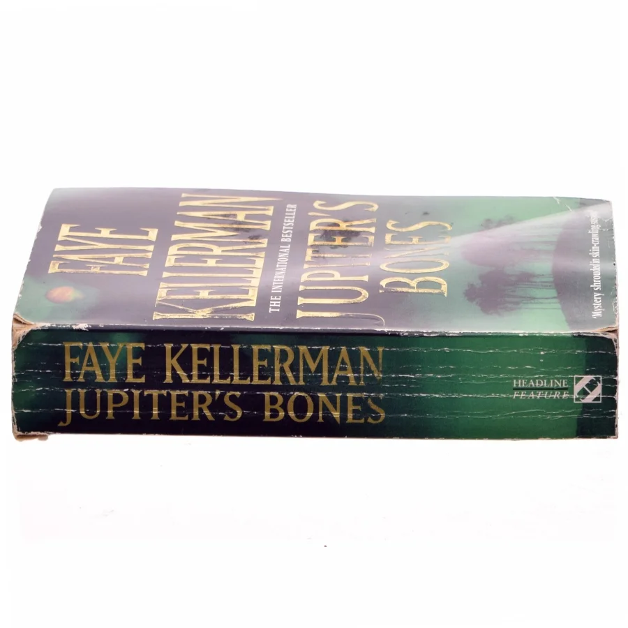 Jupiter's bones af Faye Kellerman (Bog)