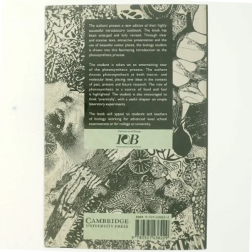 Photosynthesis (Bog)