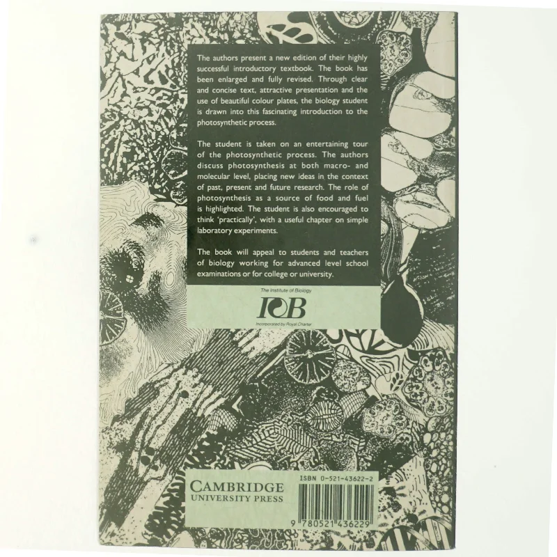 Photosynthesis (Bog)