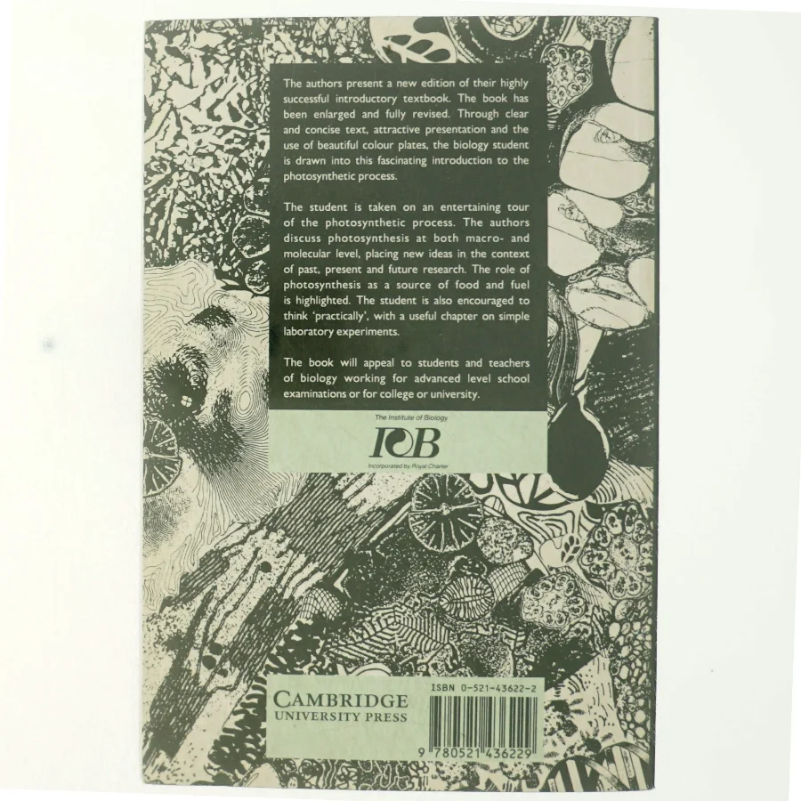 Photosynthesis (Bog)