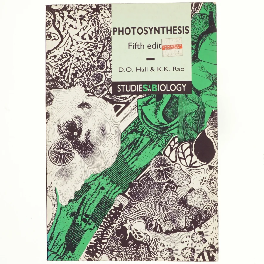 Photosynthesis (Bog)