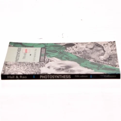 Photosynthesis (Bog)