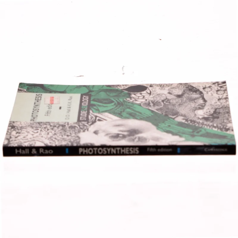 Photosynthesis (Bog)