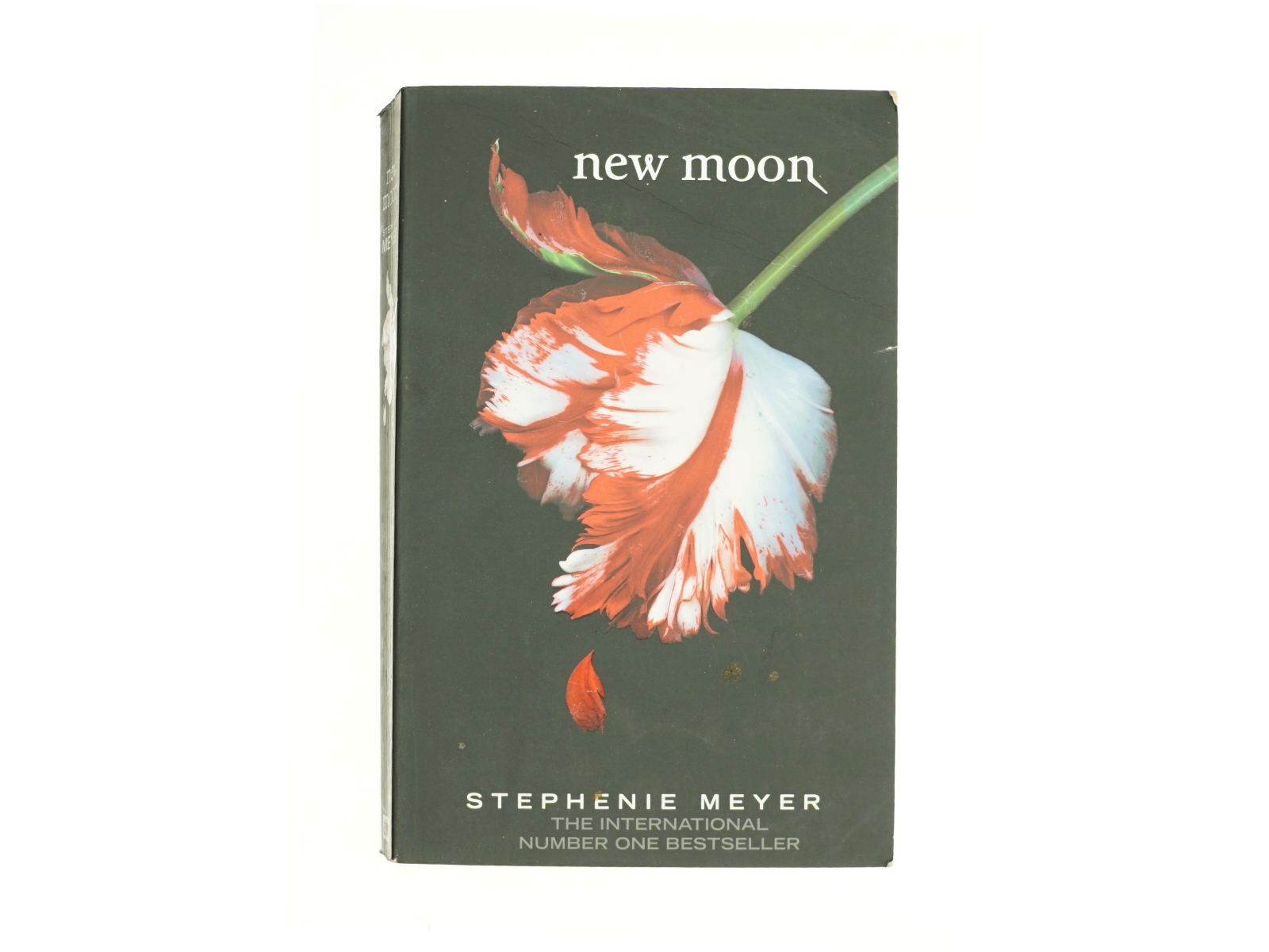 New Moon by Stephenie Meyer af Stephenie Meyer (Bog)