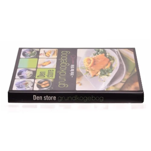 Barnligt af Thomas Nykrog (Bog)