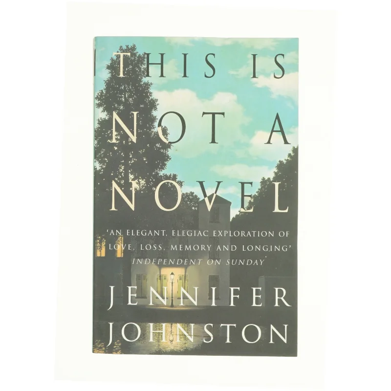 This Is Not a Novel (eBook) af Jennifer Johnston (Bog)