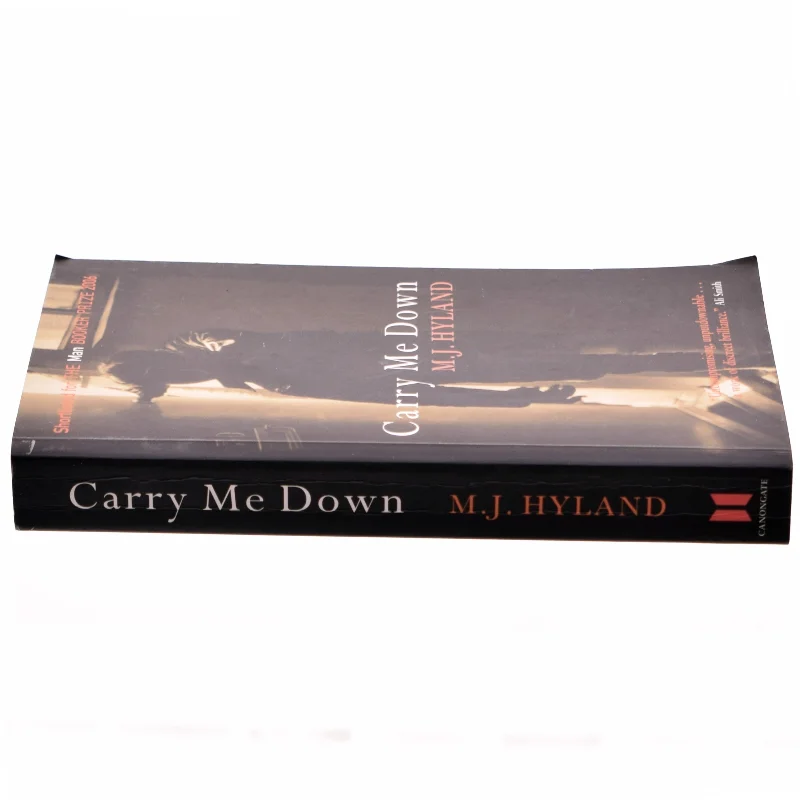Carry me down af M. J. Hyland (Bog)