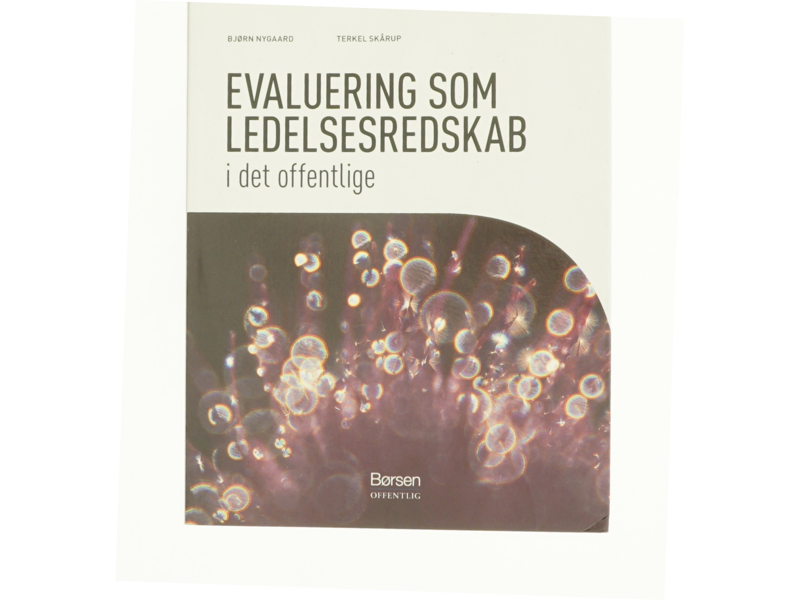 Evaluering som ledelsesredskab i det offentlige (Bog)