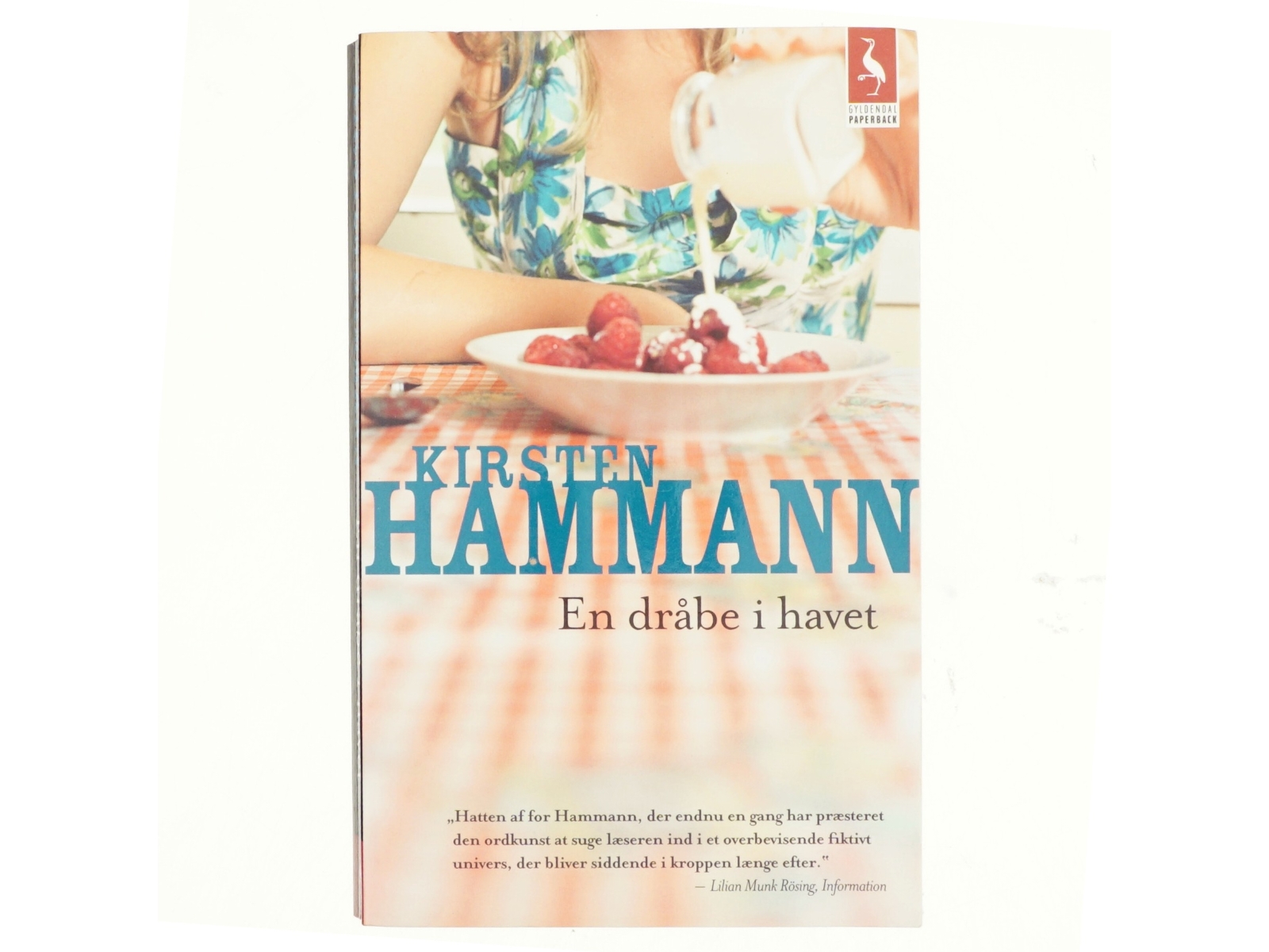 En dråbe i havet : roman af Kirsten Hammann (Bog)