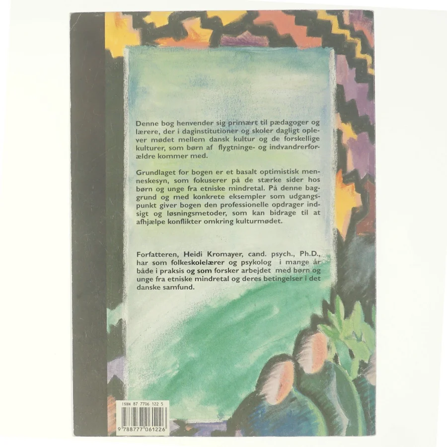 Kulturforskellighed : et møde mellem danske pædagoger og lærere og børn fra etniske mindretal af Heidi Kromayer (Bog)
