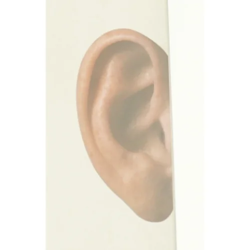 Auricula af Per Højholt (Bog)