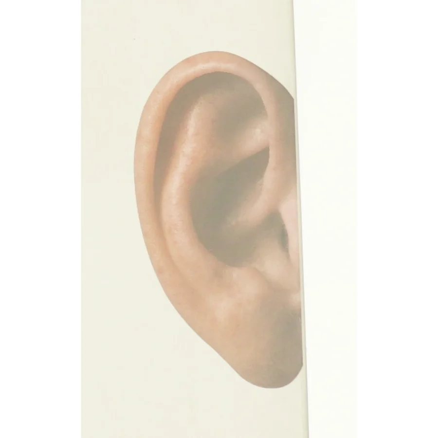 Auricula af Per Højholt (Bog)