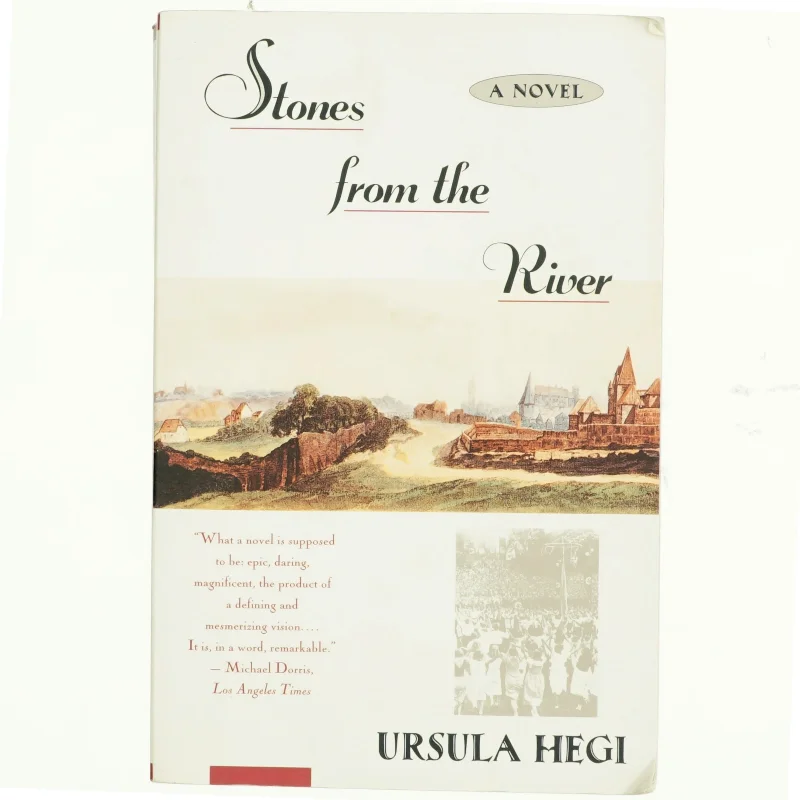 Stones from the river af Ursula Hegi (Bog)