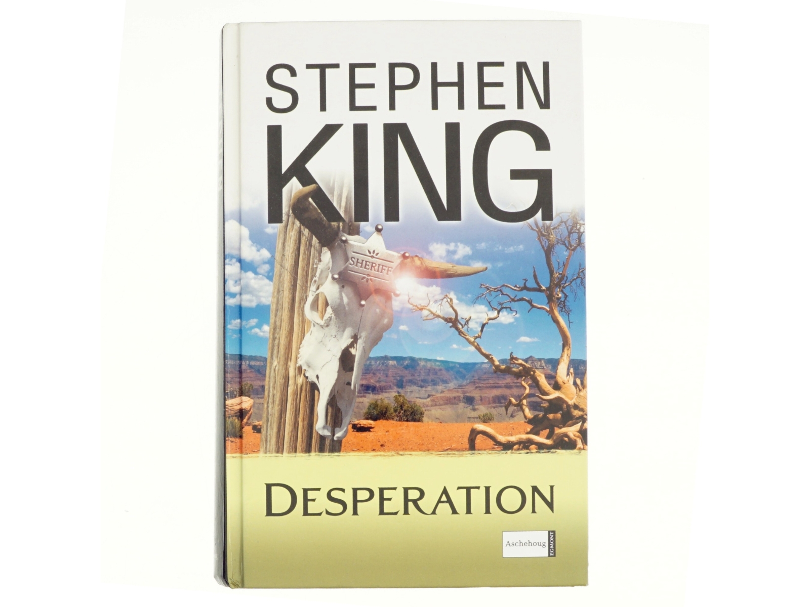 Desperation af Stephen King