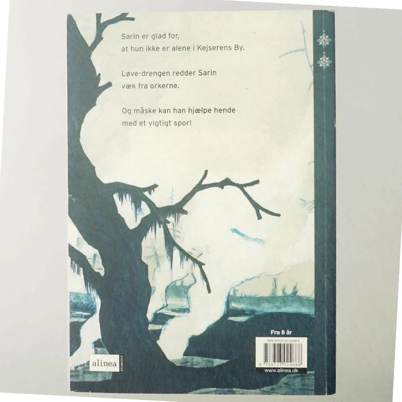 Skatten i højen af Ursula Seeberg (Bog)