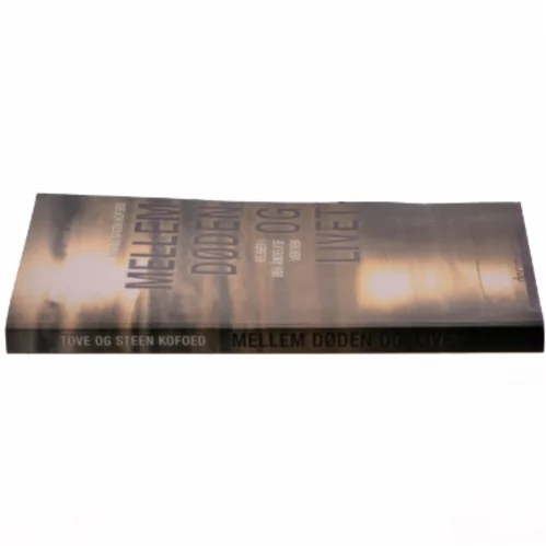 Mellem døden og livet : rejser i den åndelige verden af Tove Kofoed (Bog)
