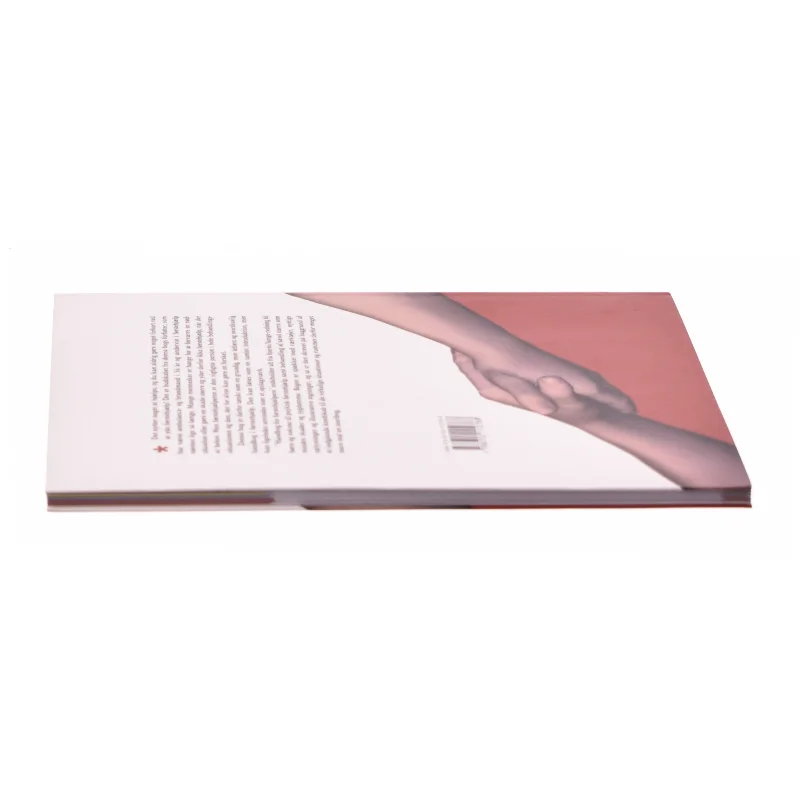 Håndbog for førstehjælpere (Gyldendal Business) af Poul Lørup Larsen (Bog)