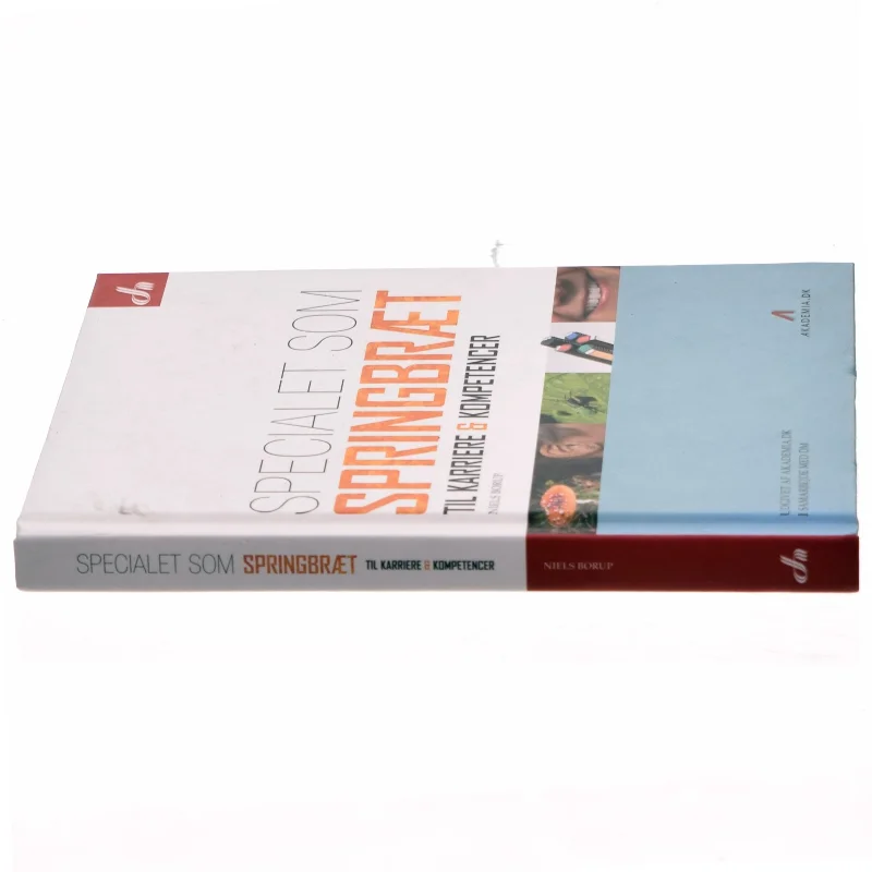 Specialet som springbræt til karriere & kompetencer af Niels Borup (Bog)