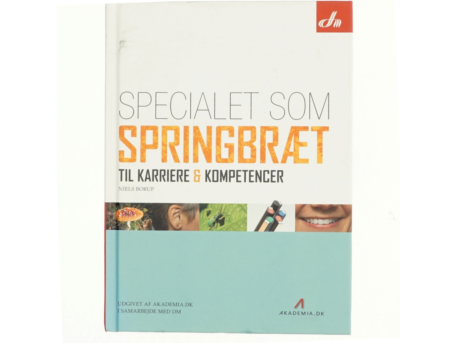 Specialet som springbræt til karriere & kompetencer af Niels Borup (Bog)