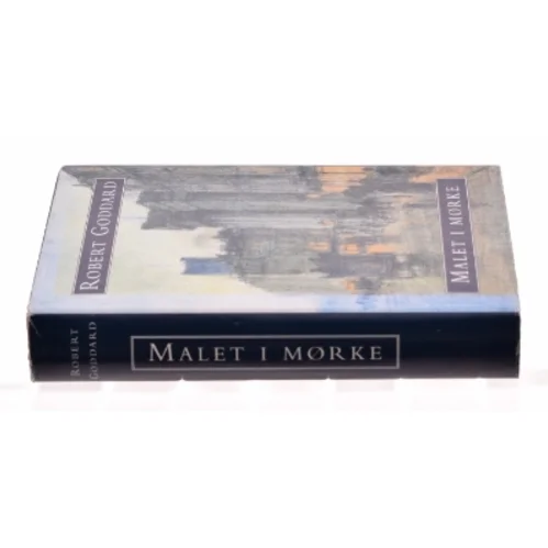 Malet i mørket af Robert Goddard (Bog)