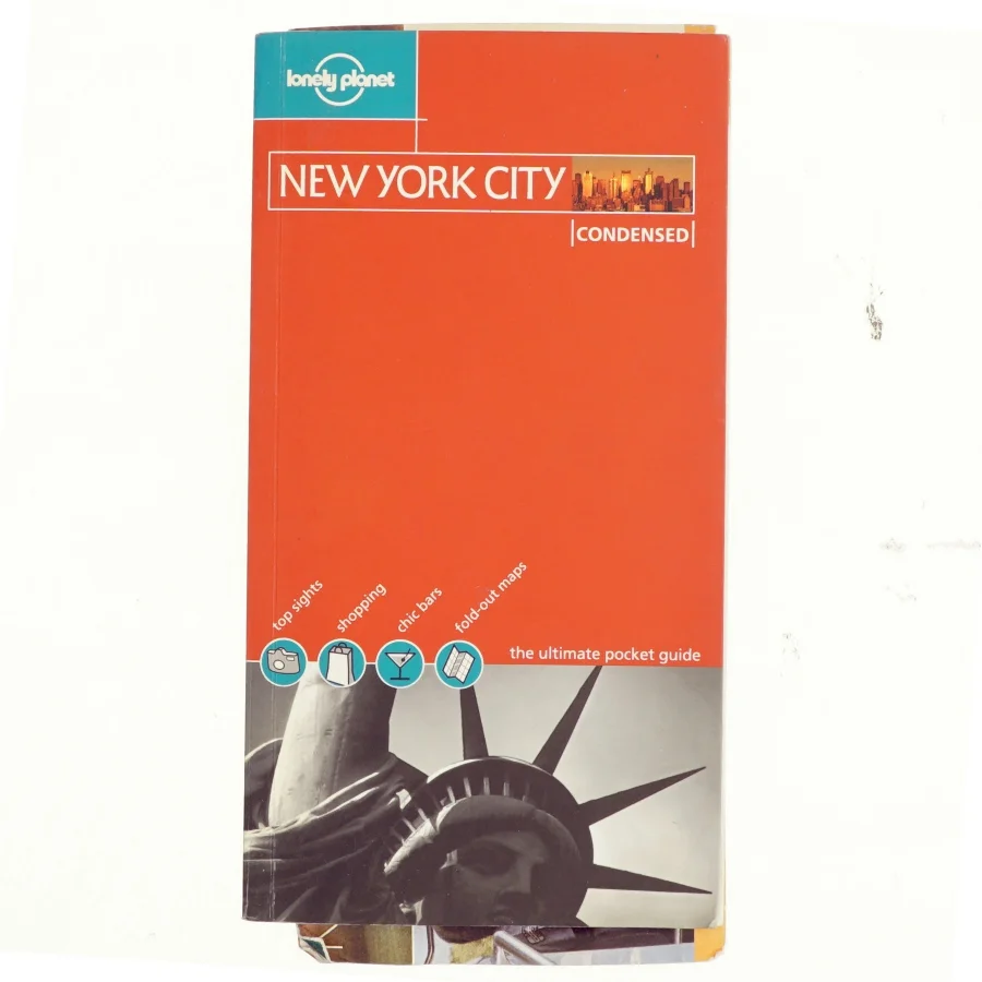 New York City condensed af Dani Valent (Bog)