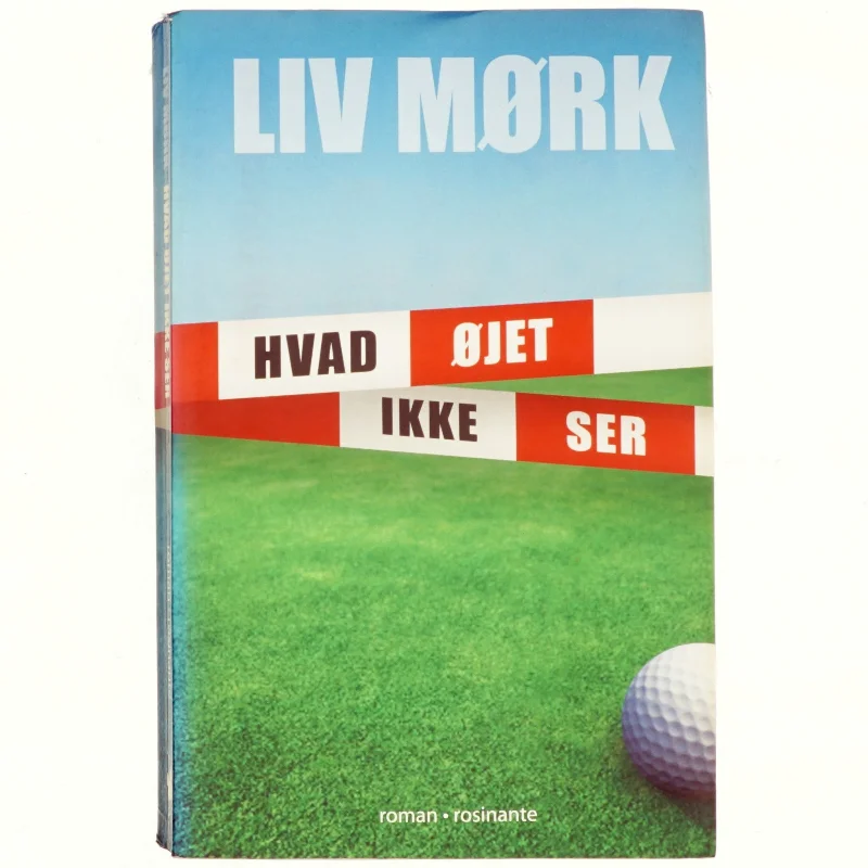 Hvad øjet ikke ser : en kriminalroman af Liv Mørk (Bog)