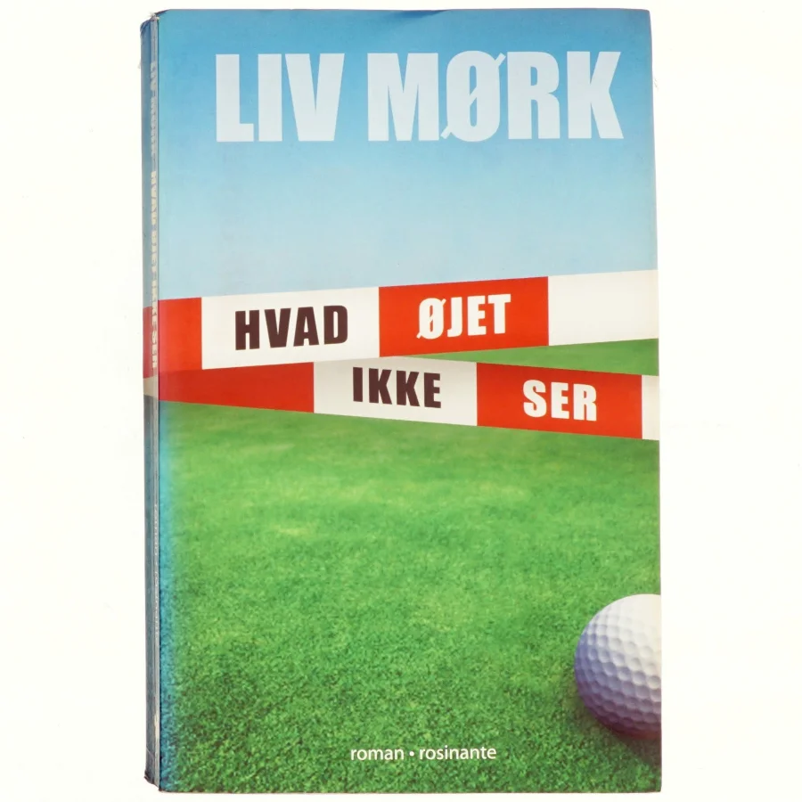 Hvad øjet ikke ser : en kriminalroman af Liv Mørk (Bog)