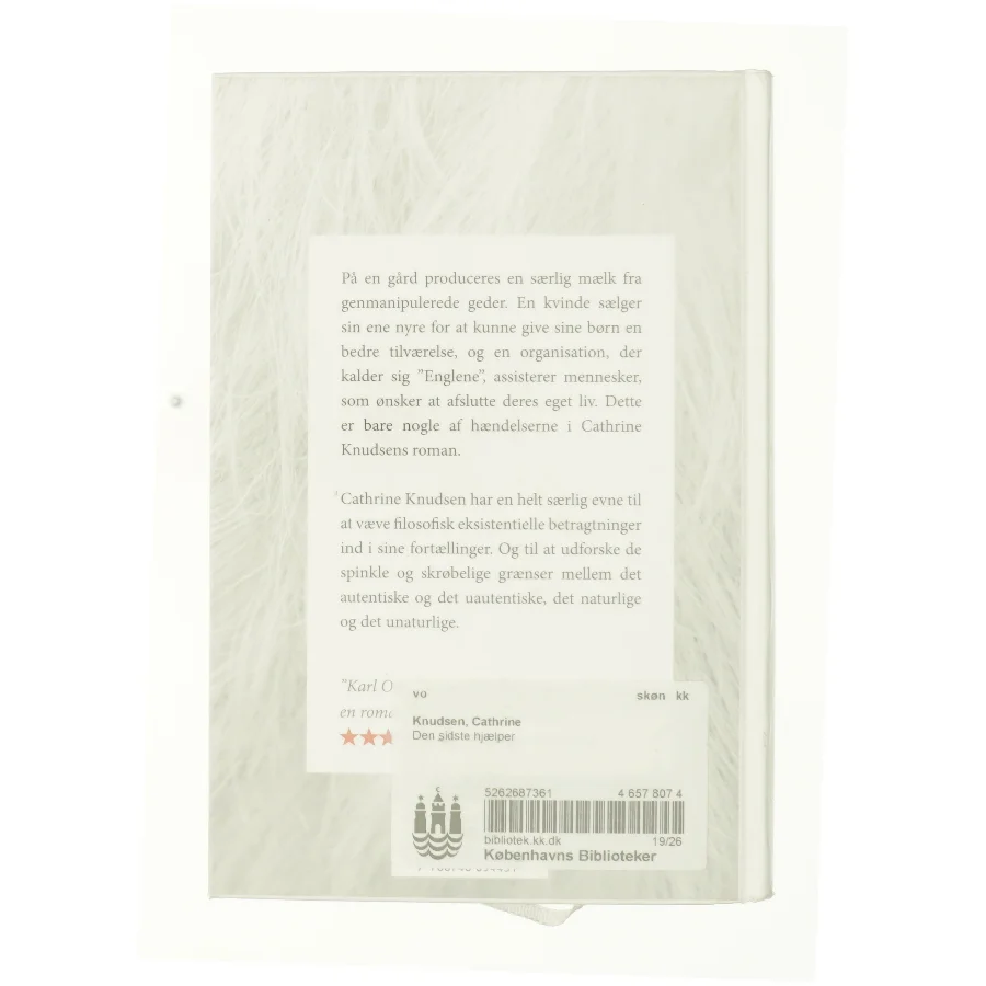 Den sidste hjælper af Cathrine Knudsen (Bog)