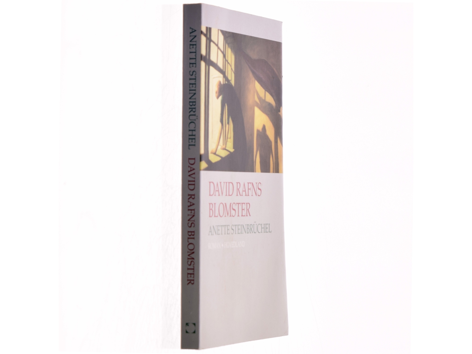 David Rafns blomster : roman af Anette Steinbrüchel (Bog)
