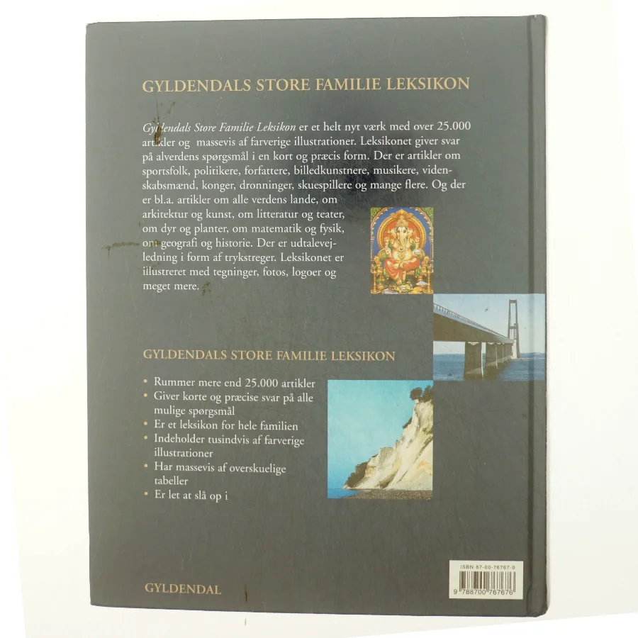 Gyldendals store familieleksikon (Bog)