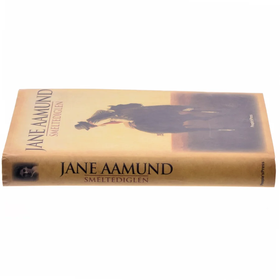 Smeltediglen : andet bind i slægtskrøniken om de dansk-argentinske indvandrere : roman af Jane Aamund (Bog)