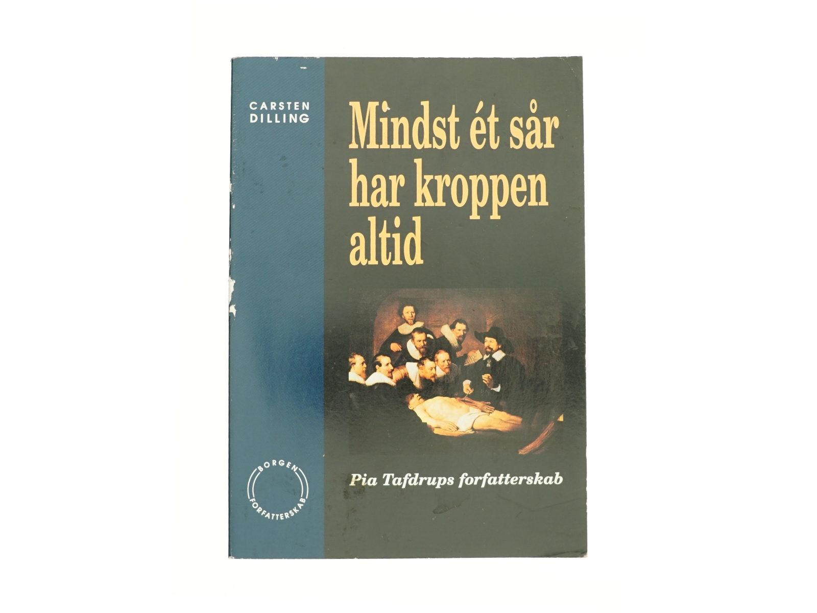 Mindst ét sår har kroppen altid (Bog)