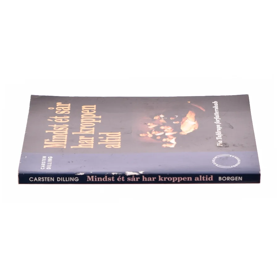 Mindst ét sår har kroppen altid (Bog)