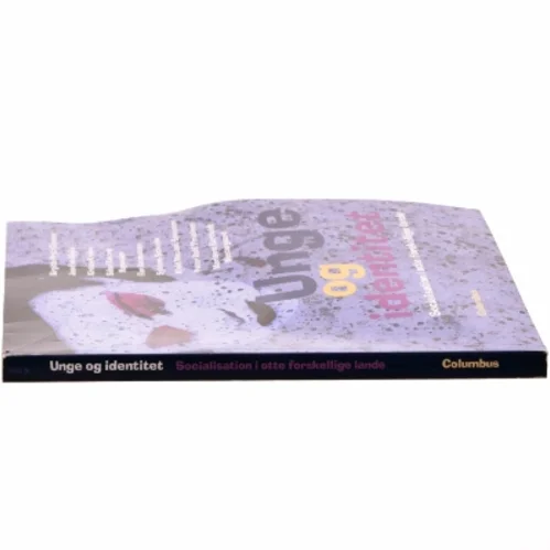 Unge og identitet : socialisation i otte forskellige lande af Birgitte Prytz Clausen (Bog)