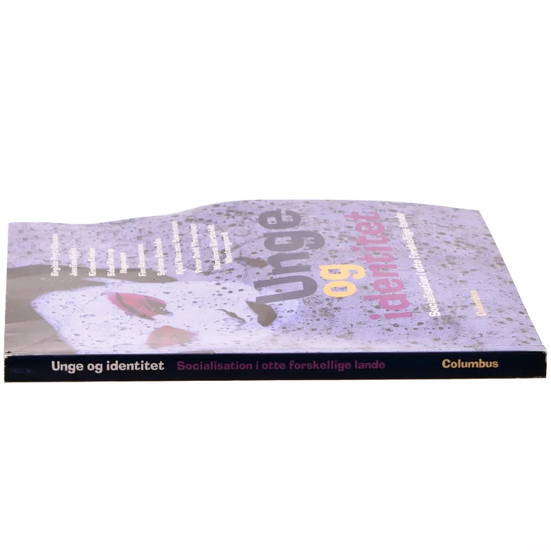 Unge og identitet : socialisation i otte forskellige lande af Birgitte Prytz Clausen (Bog)