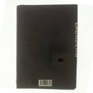 Stenhuggeren af Camilla Läckberg (Bog)