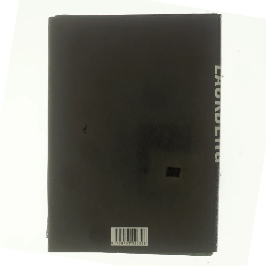 Stenhuggeren af Camilla Läckberg (Bog)