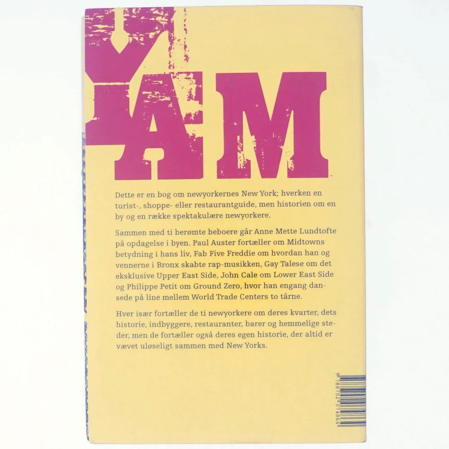 New York, New York : ti vandringer i newyorkernes fodspor af Anne Mette Lundtofte (Bog)