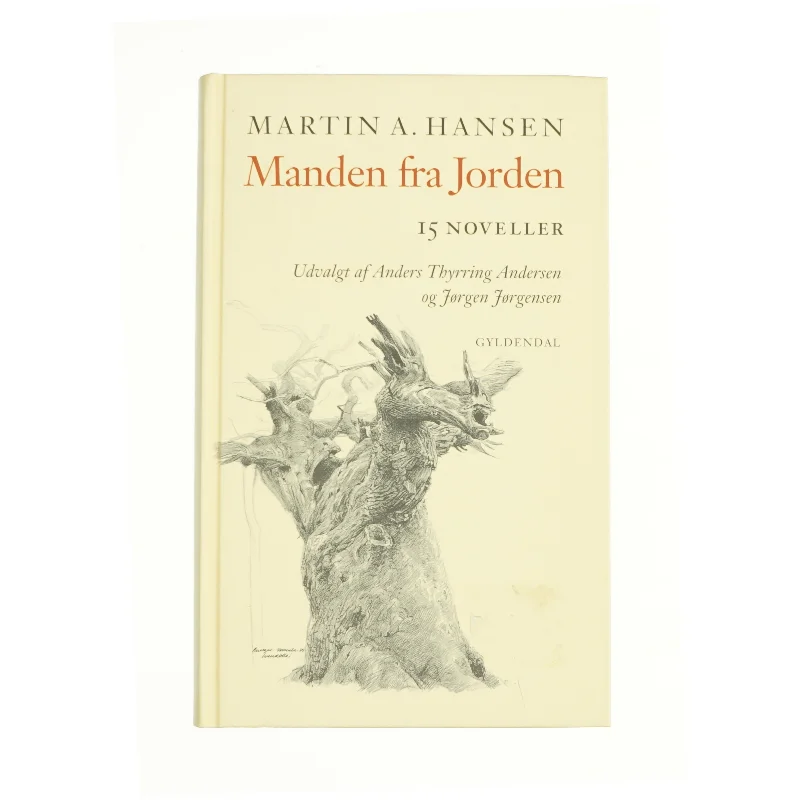 Manden fra Jorden (Bog)