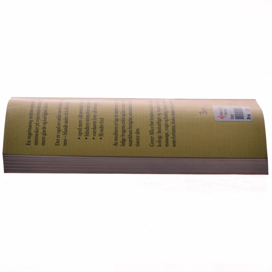 Det er let at meditere af Greer Allica (Bog)