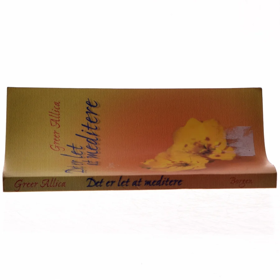 Det er let at meditere af Greer Allica (Bog)