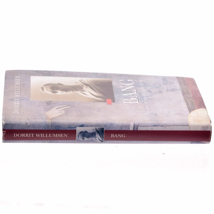 Bang af Dorrit Willumsen (Bog)