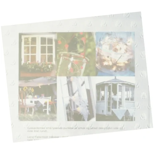 Lyspunkter : skab stemninger med lyskæder inde & ude af Lene Ostenfeldt (Bog)