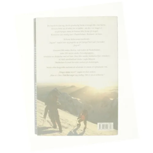 No way down af Graham Bowley (Bog)