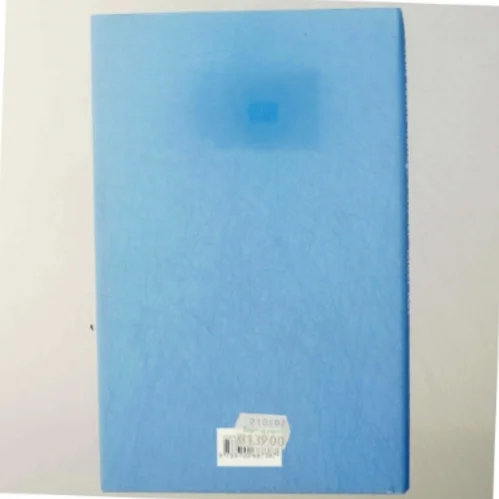 Riber Ret : et tidsbillede af Hans Edvard Nørregård-Nielsen (Bog)