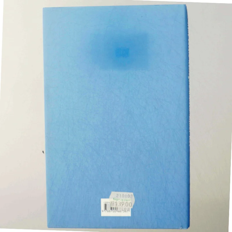 Riber Ret : et tidsbillede af Hans Edvard Nørregård-Nielsen (Bog)