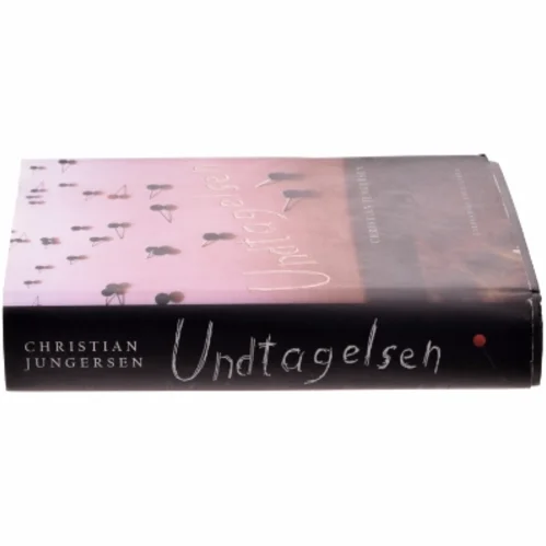 Undtagelsen : roman af Christian Jungersen (Bog)