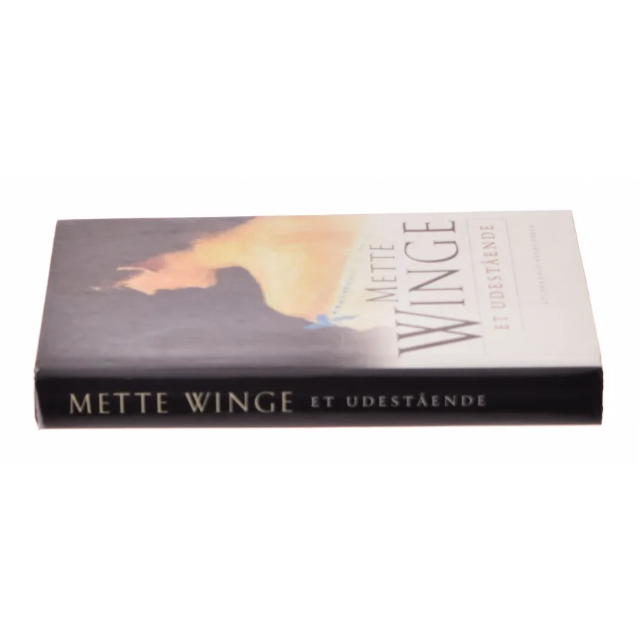 Et udestående af Mette Winge (Bog)